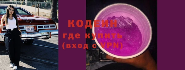тгк Гусев