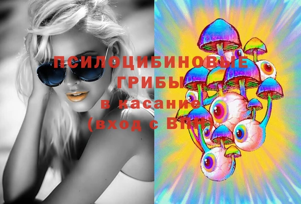 тгк Гусев
