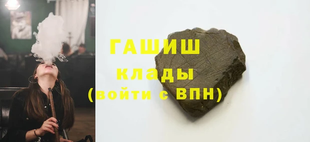 тгк Гусев