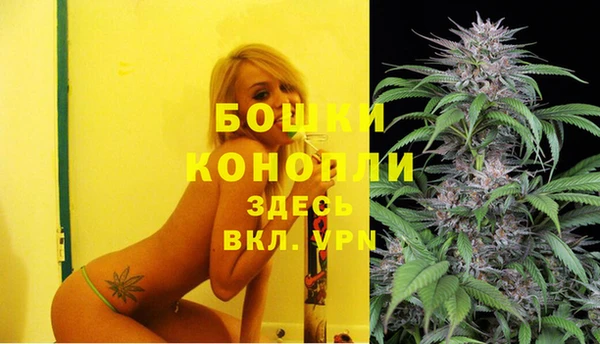экстази Гусь-Хрустальный