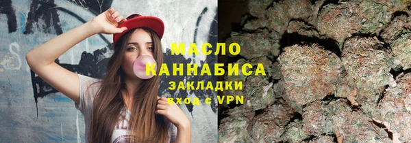 тгк Гусев