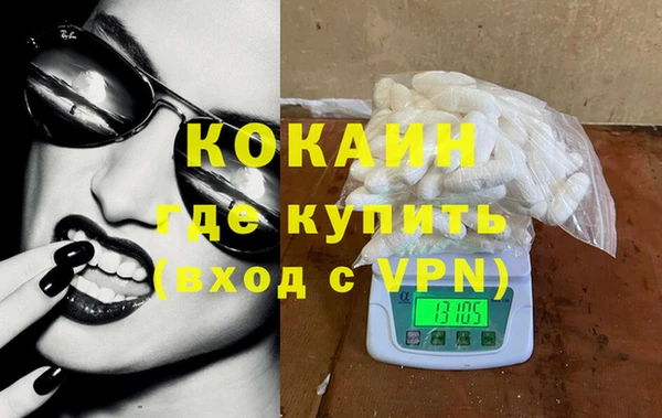 тгк Гусев