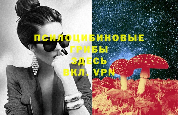 тгк Гусев