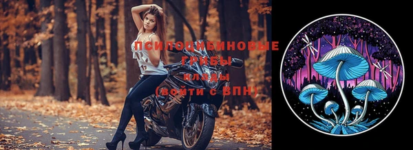 каннабис Гусиноозёрск
