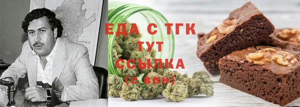 тгк Гусев