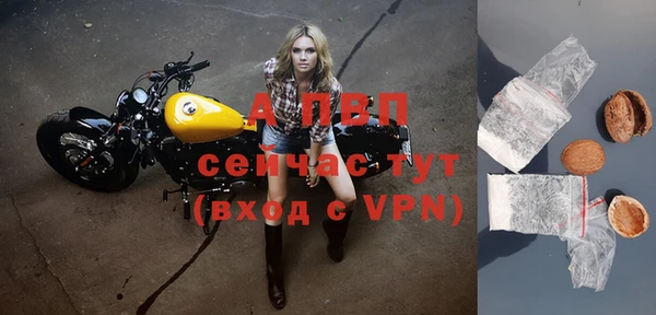 тгк Гусев