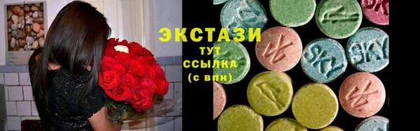 тгк Гусев
